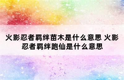 火影忍者羁绊苗木是什么意思 火影忍者羁绊跑仙是什么意思